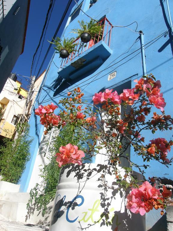 El Catrin Hostel