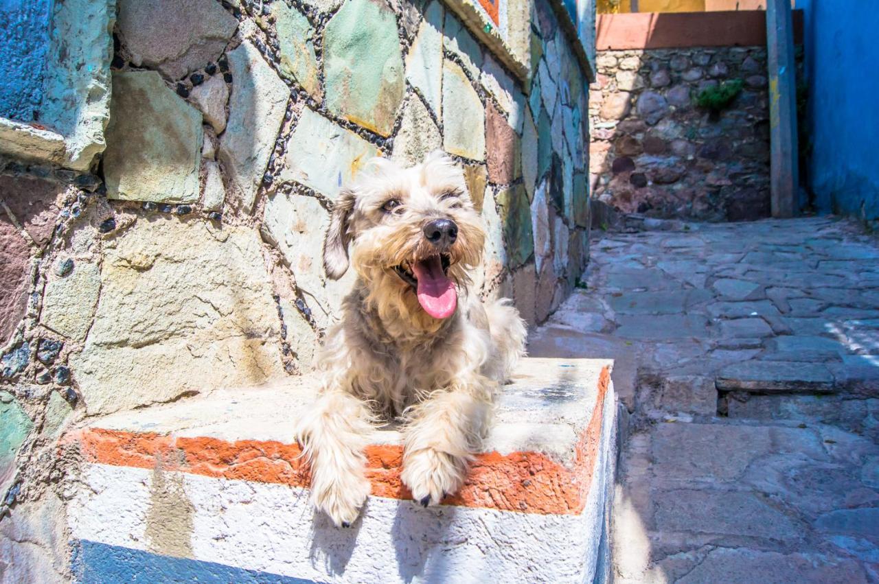 Hostal El Catrin Guanajuato